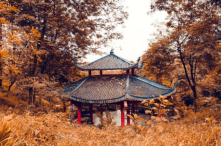 black and white gazebo near brown grass at day time thumbnail