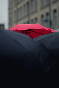 selective focus photography of red umbrella thumbnail