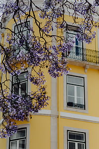 Lisbon Architecture, Portugal thumbnail
