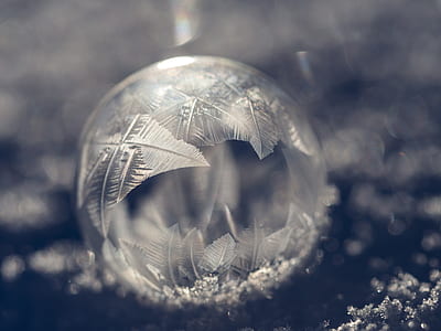 ice, bubble, frozen, frost thumbnail