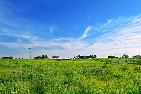 photo of green grass field during daytime thumbnail