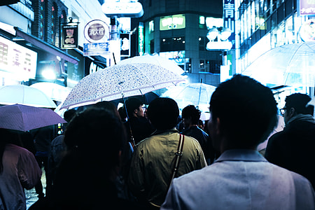 group of people holding umbrellas thumbnail