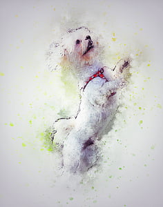 white dog painting thumbnail