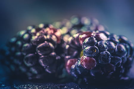 Selective Focus Photography of Purple Fruit thumbnail