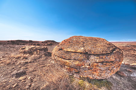 brown rock on brown soil thumbnail