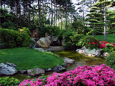 body of water between pink petaled flowers and green grass at daytime thumbnail