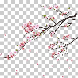 Cherry blossom Tsukasa of Tokyo Branch, Pink cherry blossoms, pink cherry blossoms illustration PNG clipart