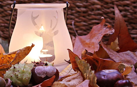 closeup photo of lighted white candle holder on top of dried leaves thumbnail