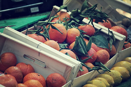 orange fruits inside crates thumbnail