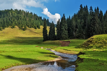 river lined with green grass field and green trees under blue daytime sky thumbnail