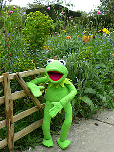Kermit the Frog plush toy leaning on wooden fence thumbnail