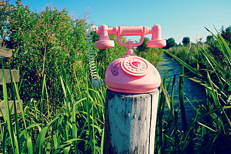 pink rotary telephone on gray log thumbnail