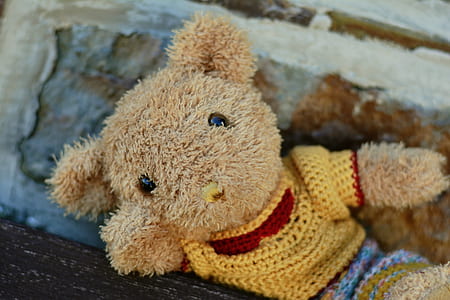 brown rodent plush toy wearing yellow top thumbnail