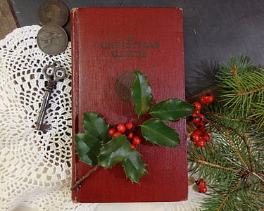 green leaves on red book beside key thumbnail