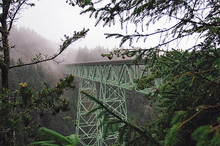 teal metal bridge leading to forest thumbnail