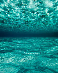 sea floor underwater photography during daytime thumbnail