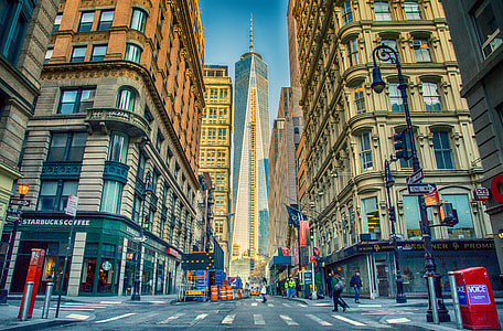 people walking on pedestrian lane thumbnail