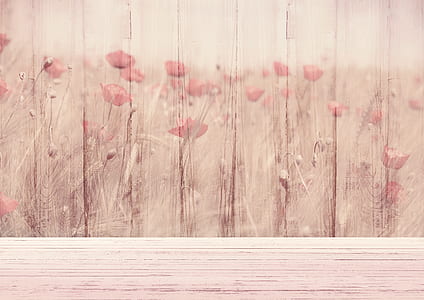 brown wooden floral fence thumbnail
