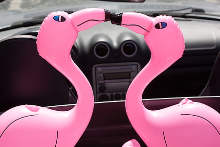 two pink inflatable flamingo kissing inside vehicle thumbnail