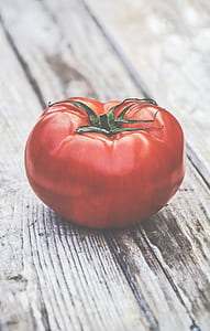 healthy, agriculture, blur, fresh thumbnail
