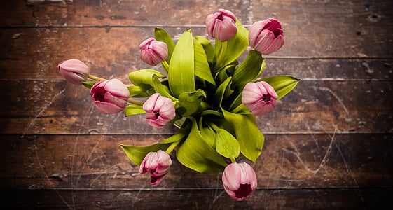 pink tulips on vase thumbnail