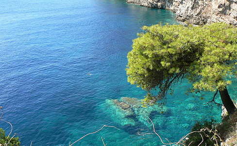 clear body of water photo thumbnail