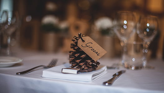 selective focus photography of pinecone on fabric cover thumbnail