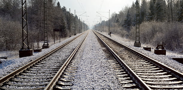 empty train railroad near trees at daytime thumbnail