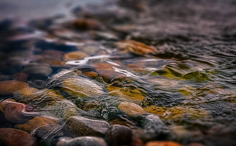 tilt-shift lens on riverflows thumbnail