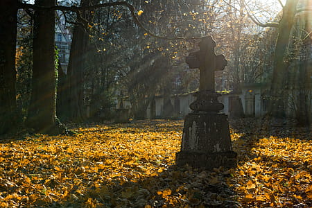 Gray Concrete Gravestone thumbnail