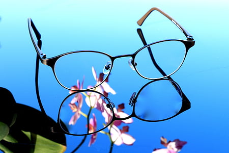 eyeglasses with black frames thumbnail