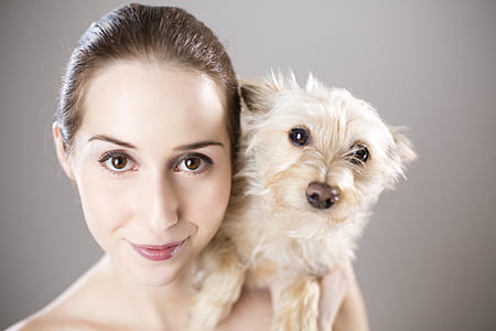woman holding long-coated white dog thumbnail