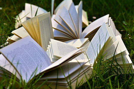 books, grass, outdoors, book pages thumbnail