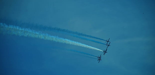 three plant flying in air thumbnail
