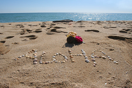 seashells forming aloha in brown seashore at daytime thumbnail