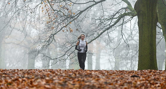 woman running beside bare tree at daytime thumbnail