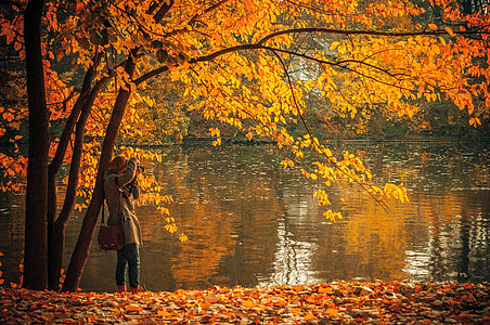 person standing beside tree near body of water taking photo during daytime thumbnail