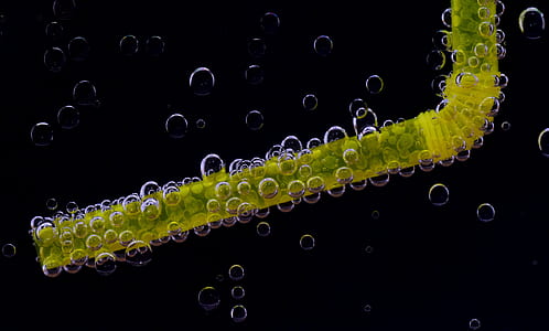 drink, clean, bubbles, straw thumbnail