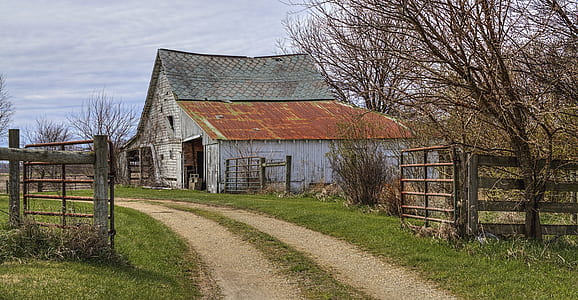 white and brown wooden house near tree thumbnail