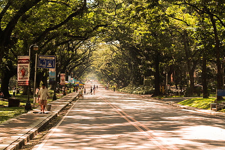 people walking on street during day thumbnail