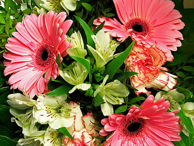 closeup photo of pink flowers thumbnail