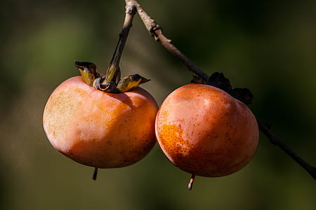 two orange fruits thumbnail