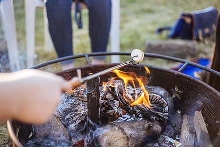person holding rod with mushroom above burning wood at daytime thumbnail