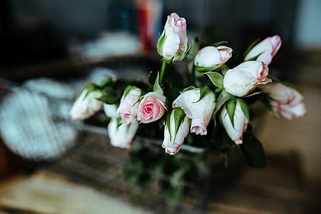 Pink flowers in a metal basket thumbnail