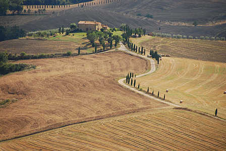 aerial view of fields thumbnail