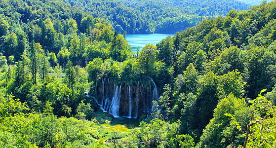 waterfalls surrounded by green tall trees birds eye photography during daytime thumbnail