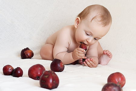 baby eating ripe apple illustration thumbnail