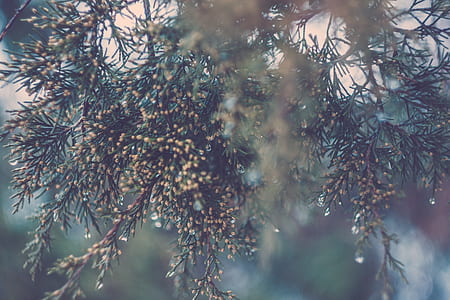Green White and Yellow Christmas Ornament thumbnail