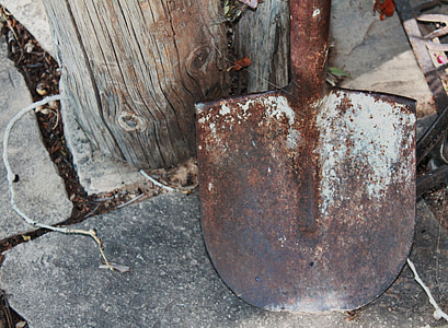 brown shovel beside gray tree log thumbnail