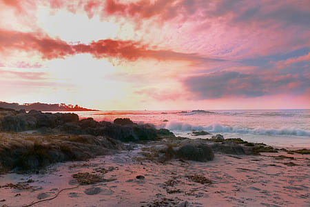 seashore during daytime thumbnail